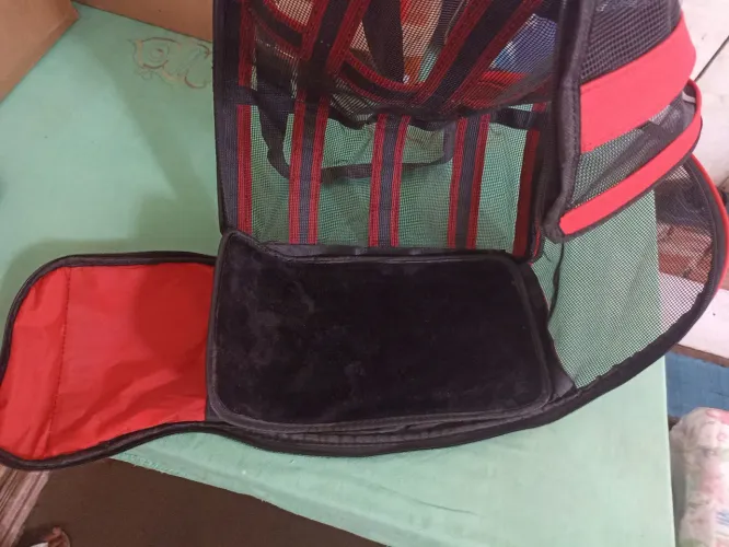 Transporte de Pet (Bolsa/ Mala)