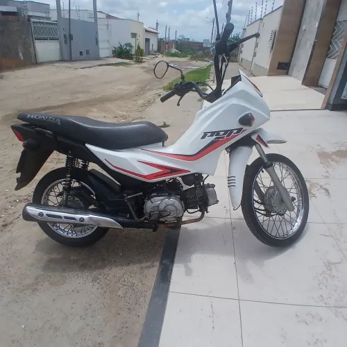 Honda Pop 2019