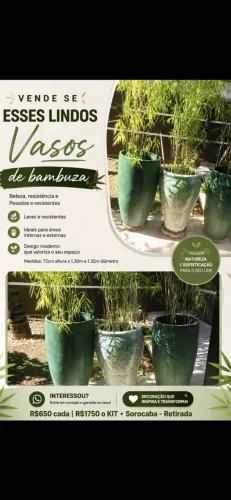 VASOS GRSNDES DE BAMBUZA. SO RETIRADA NO PQ IBITI RESERVA.SOROCABA