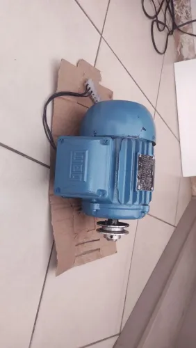 Motor de Indução Trifásico WEG W22 Plus