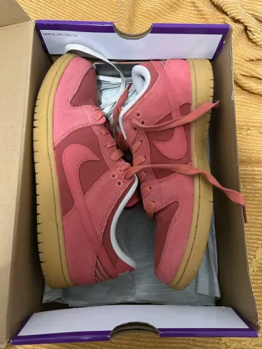 Nike Dunk Sb Pro Adobe