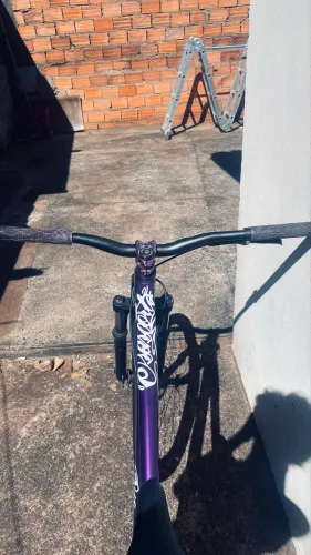 aro 29 roxa