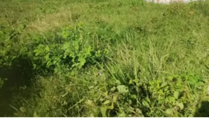 Vendo terreno 12x30 plano em tibiri