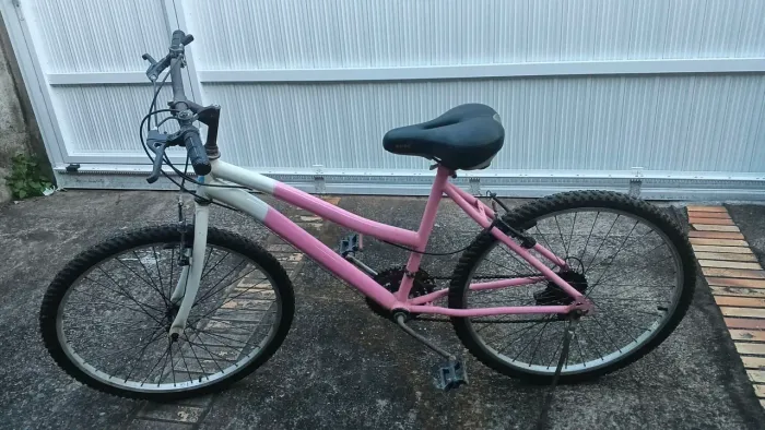 Bicicleta feminina