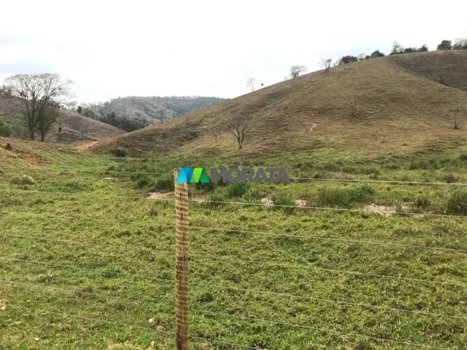 FAZENDA À VENDA - 160 HECTARES - REGIÃO DE RIO CASCA (MG)