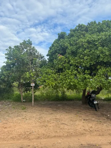 VENDA-SE TERRENO EM PIUM 