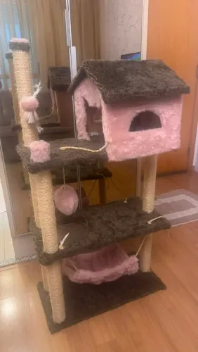 Casa de gato