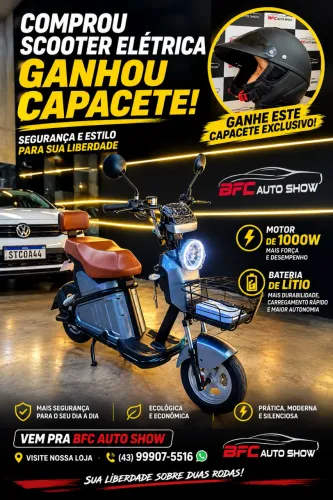 Scooter Panda 1000w 