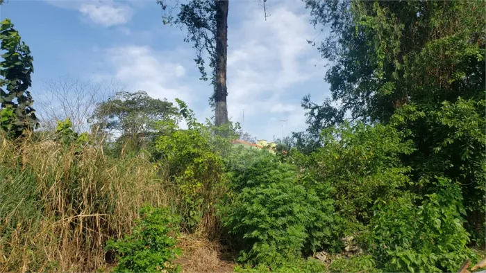 Terreno à venda em Interlagos, São Paulo - SP