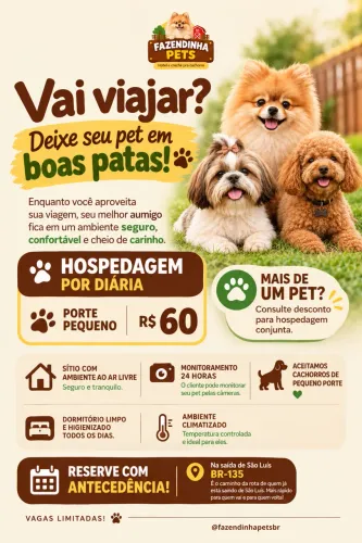 Hospedagem e creche para Pets - São Luís/BR-135
