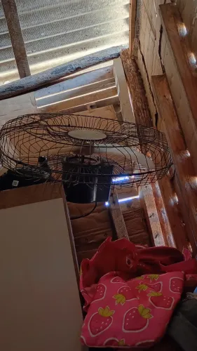 Vendo ventilador 