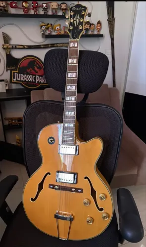 guitarra semiacústica 