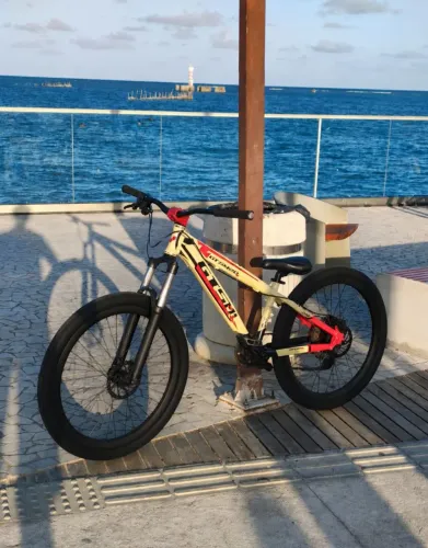 Bike free ride GTSM1 pra grau