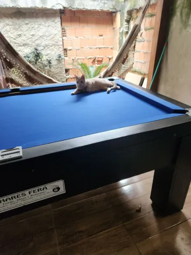 Mesa de sinuca ?
