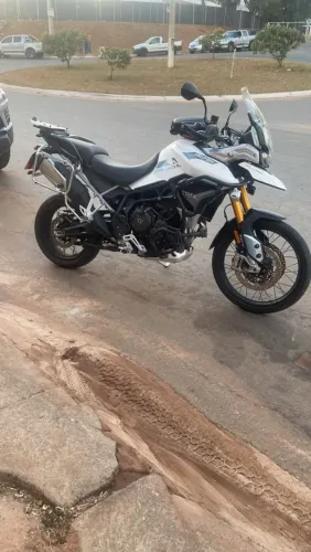 Tiger 900 Rally Pro