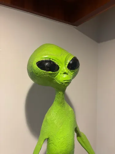 ET alienígena Chapada dos Veadeiros