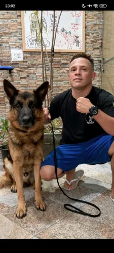 Adestrador de cães