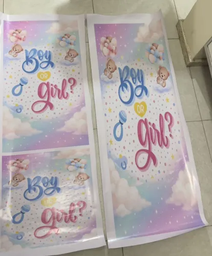 Painel adesivo para chá revelação 