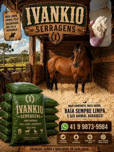 Serragem de pinus ensacada seca e limpa [R$15,00 o saco] 