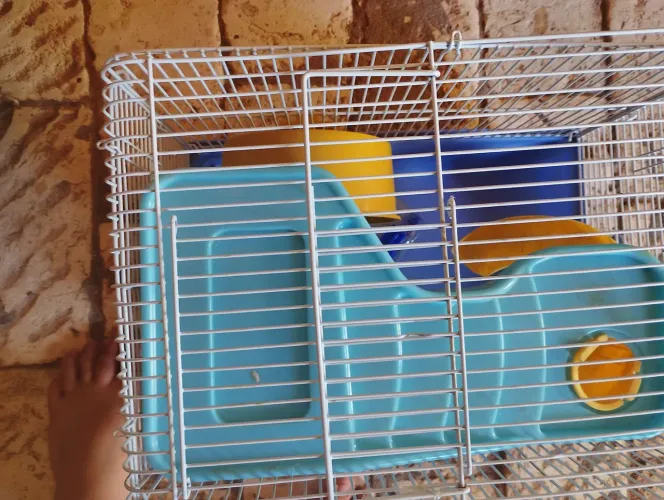 Gaiola para hamster