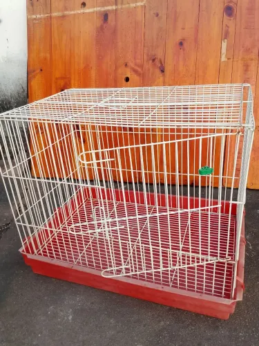 GAIOLA PARA COELHO 