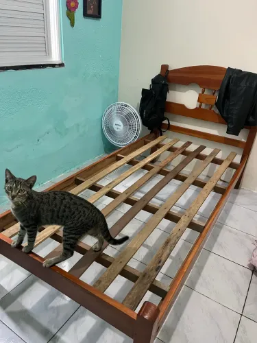 Cama de madeira
