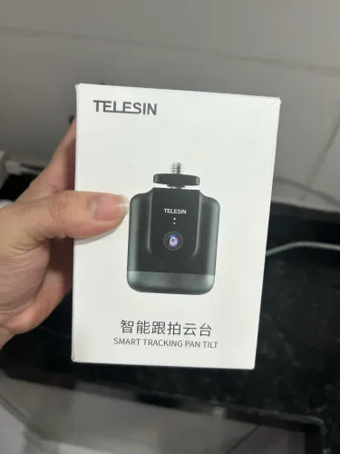 Telesin