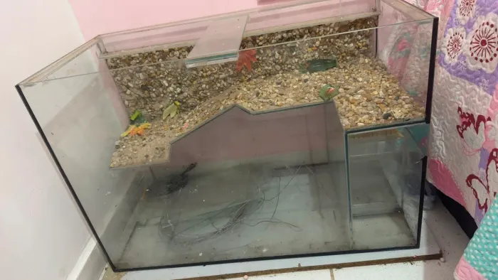 Aquário para tartaruga