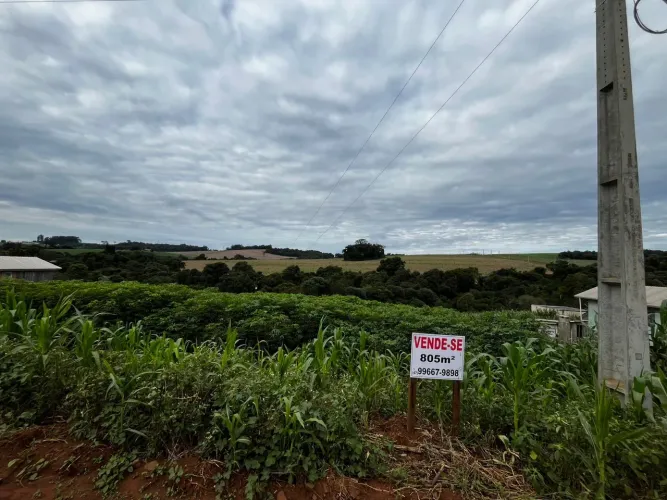 Chácara a 800m do bairro Novo Horizonte