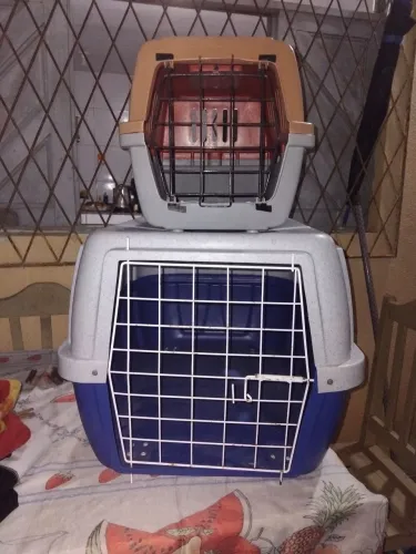 Caixa transportadora para cães 