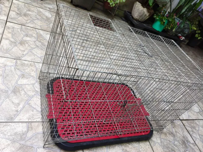 Gaiola para coelhos! Conforto e espaço pro seu pet