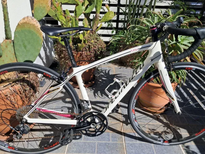 Specialized Ruby Sport tam 48