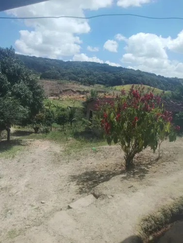 Sítio pra vender 5 hectares três casa água 15 km pra o asfalto