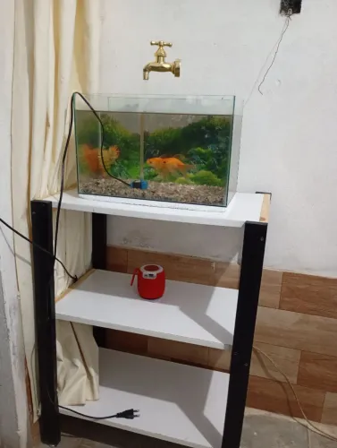 Aquário