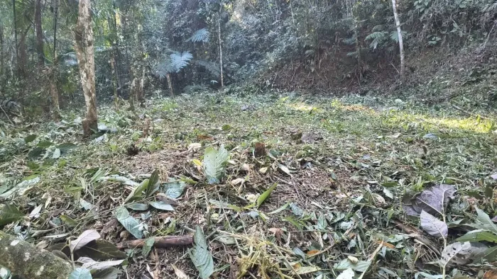 Oportunidade na Serra terreno com 5.960 m² em Vargem Grande - Teresópolis - RJ