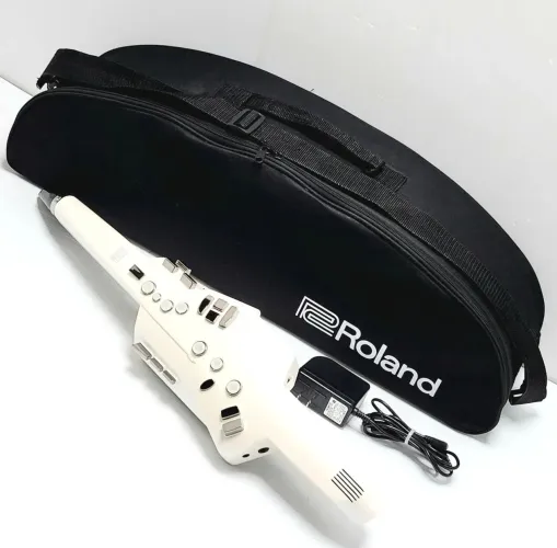 Sax Roland Aerophone Go Ae-10 Modelo exclusivo