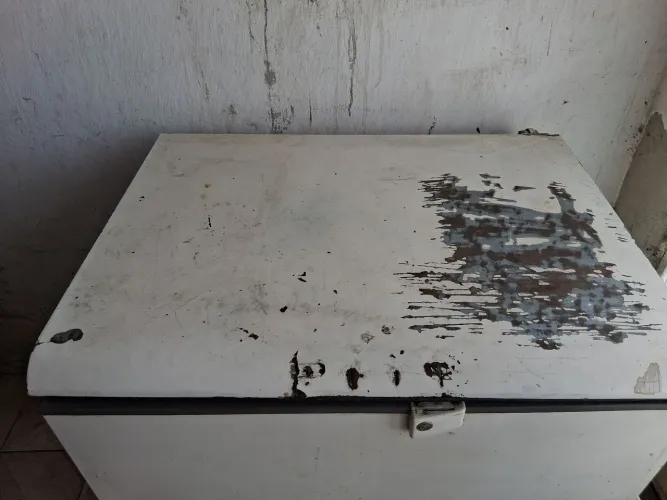 Freezer horizontal