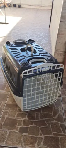 Casinha para pets