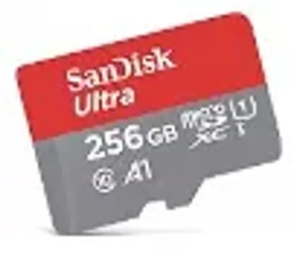 Cartão MicroSD 256gb (LACRADO)