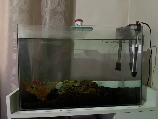 Aquário completo por apenas R$ 350,00 