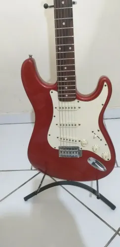 Guitarra shelter USA