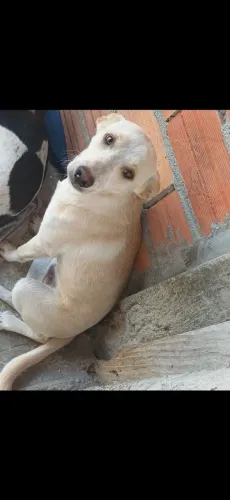 Doação 