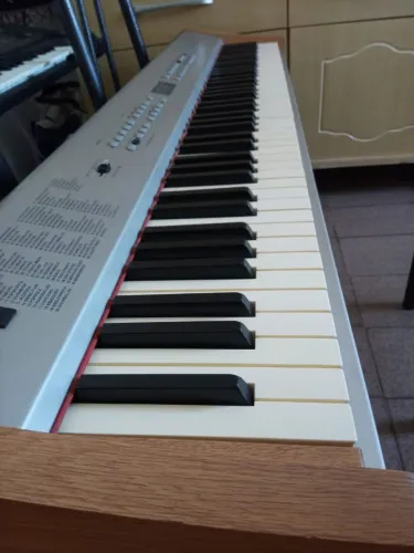 Piano Fênix PDP 300 em ótimo estado