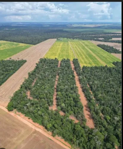 CHÁCARA A VENDA- CONDOMÍNIO SÃO  JOÃO/SINOP-MT - TROCO POR VEICULO