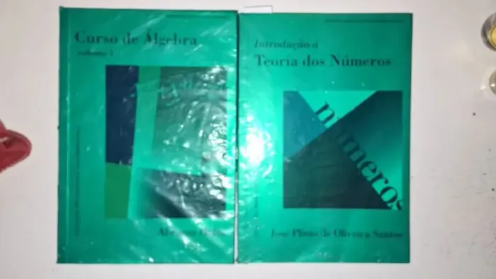 Álgebra e Teoria dos Números do IMPA