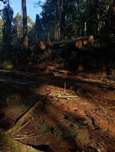 Faço serviço de médio e pequeno porte nos bairros rio cerro 1 e 2 e na barra