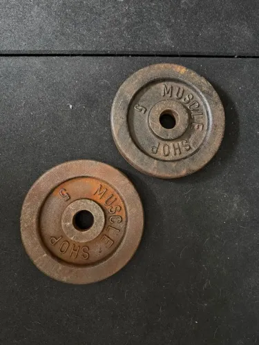 Duas anilhas ferro maciço 5kg cada