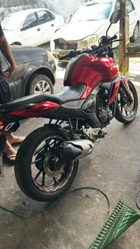 Vendo fazer 2024 