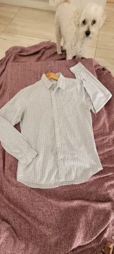 Camisa Gap social - comprada em San Francisco  Califórnia 