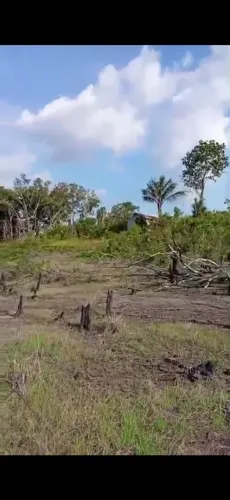 Vendo essa terra localizado em Novo Aripuanã 20 quilômetros da cidade, com 90 alqueires .
